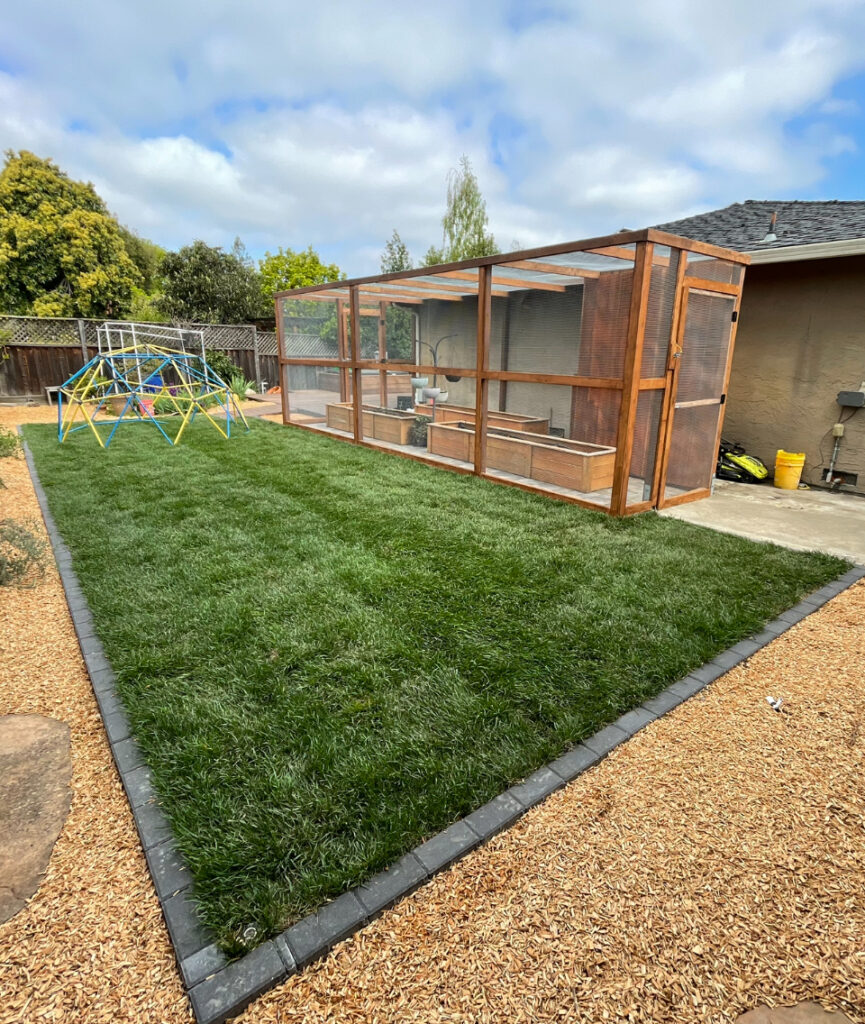 IMG 5835 🌿 How to Create a Beautiful, Low-Maintenance Yard in the Bay Area Sod Installation​​
