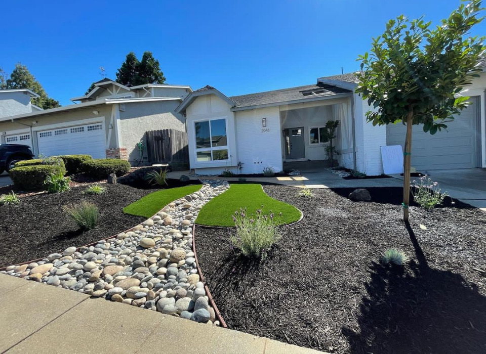 IMG 6561 How Eco-Friendly Landscaping Can Transform Your Outdoor Space