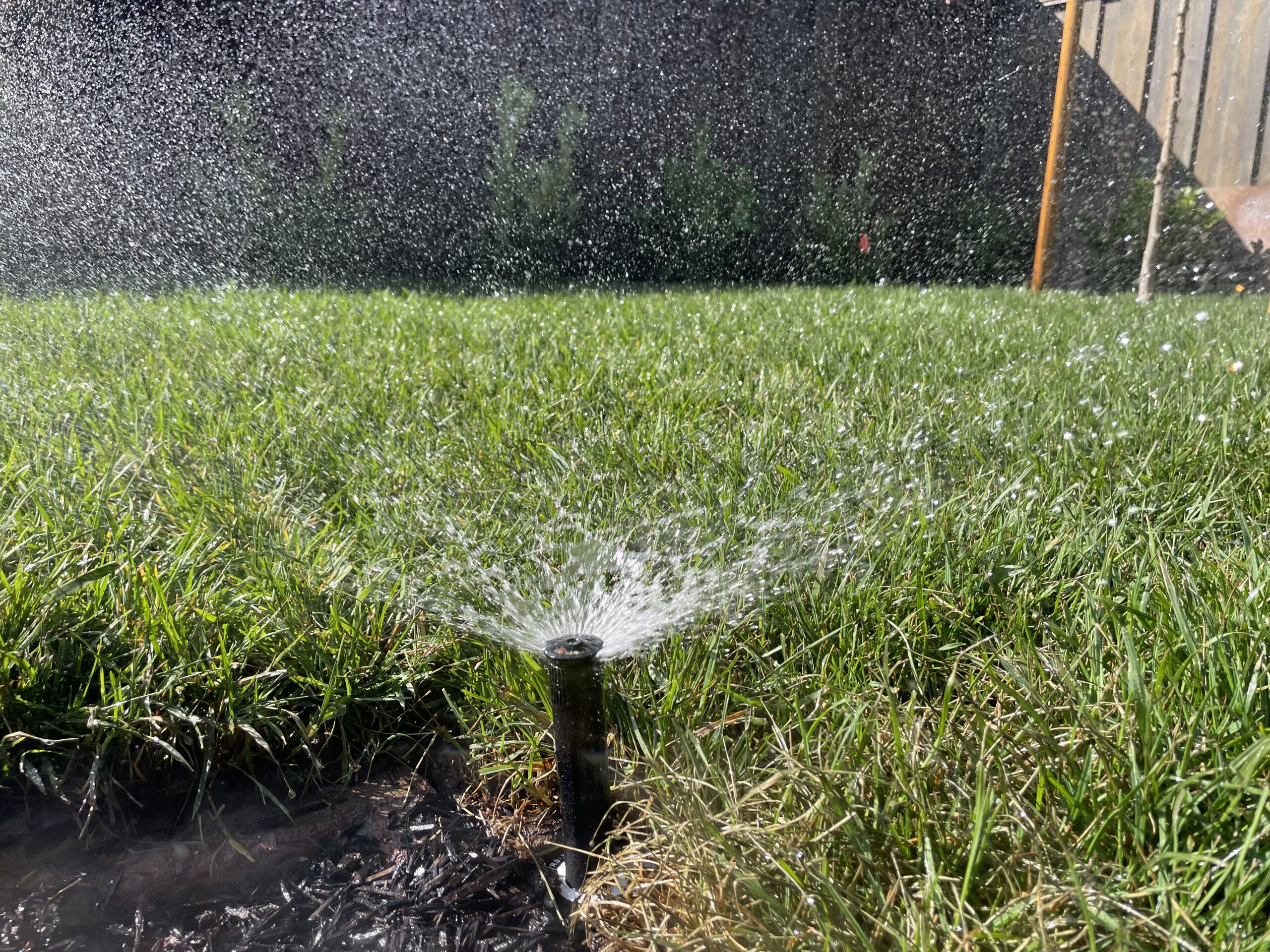 Irrigation​
